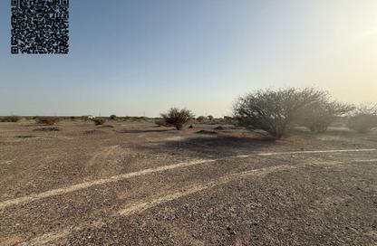 أرض - استوديو للبيع في المنامة - عجمان