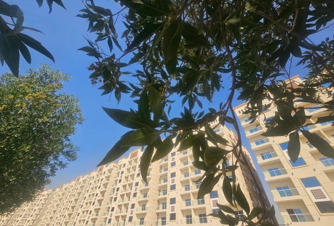 55346476 - Property Image 2