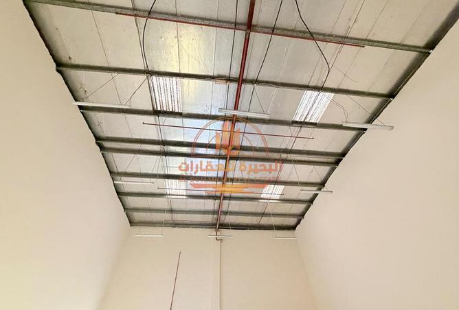 113254553 - Property Image 3