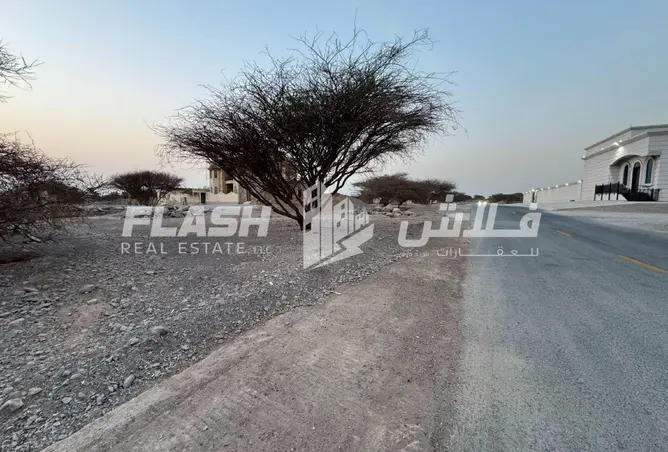 147762235 - Property Image 3