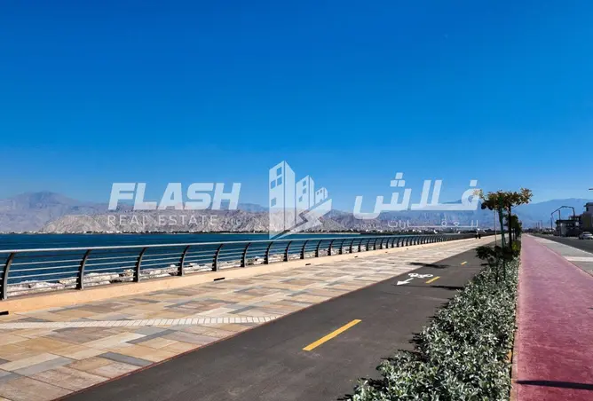 146459609 - صورة العقار 2