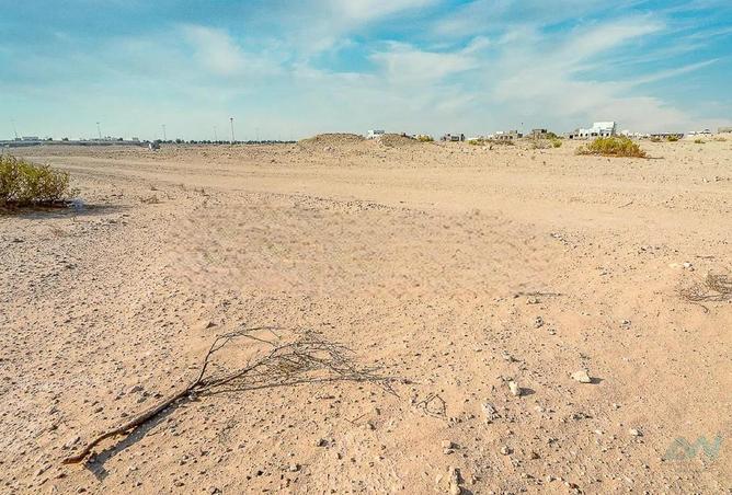 16264360 - Property Image 3