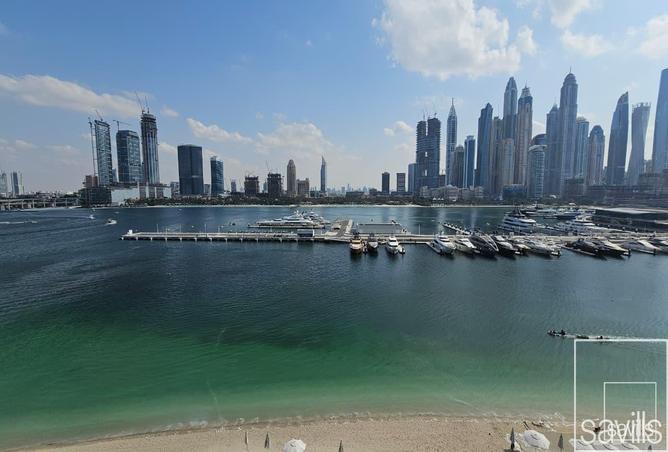 15995801 - صورة العقار 3