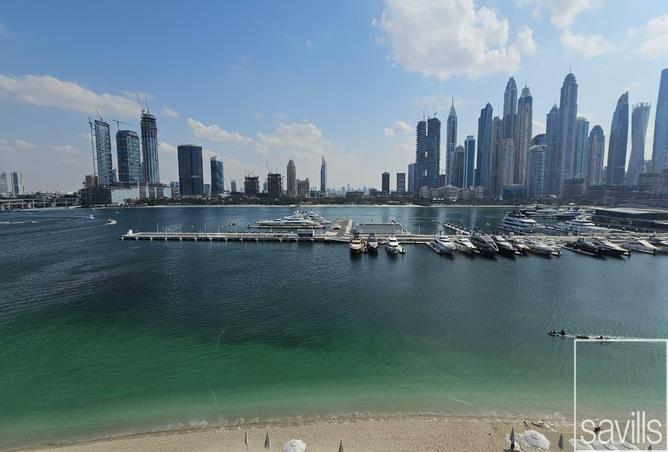 15995801 - صورة العقار 3