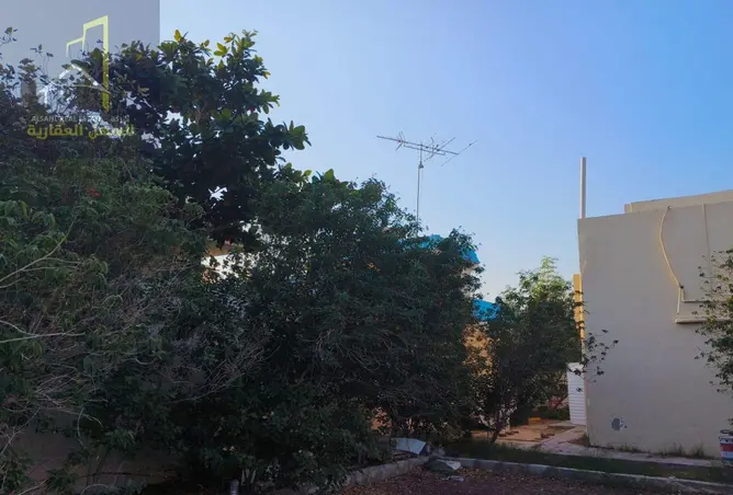 150896544 - Property Image 3