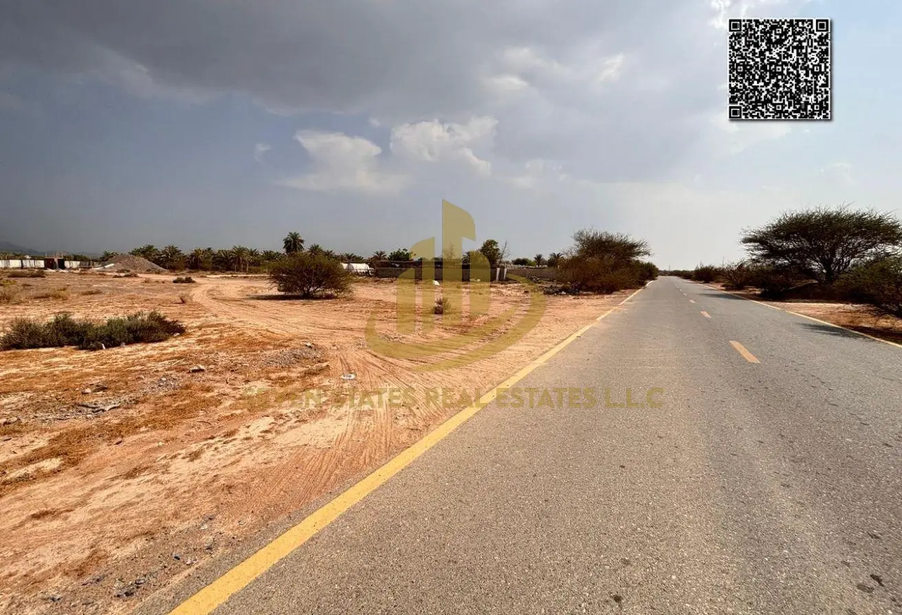164564220 - Property Main Image