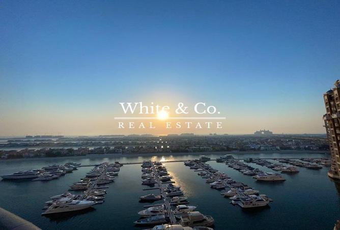 56543715 - الصورة الرئيسية للعقار