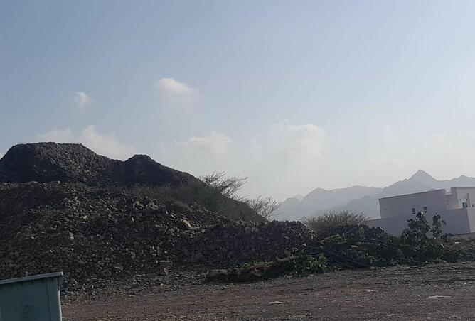 16282216 - Property Image 3