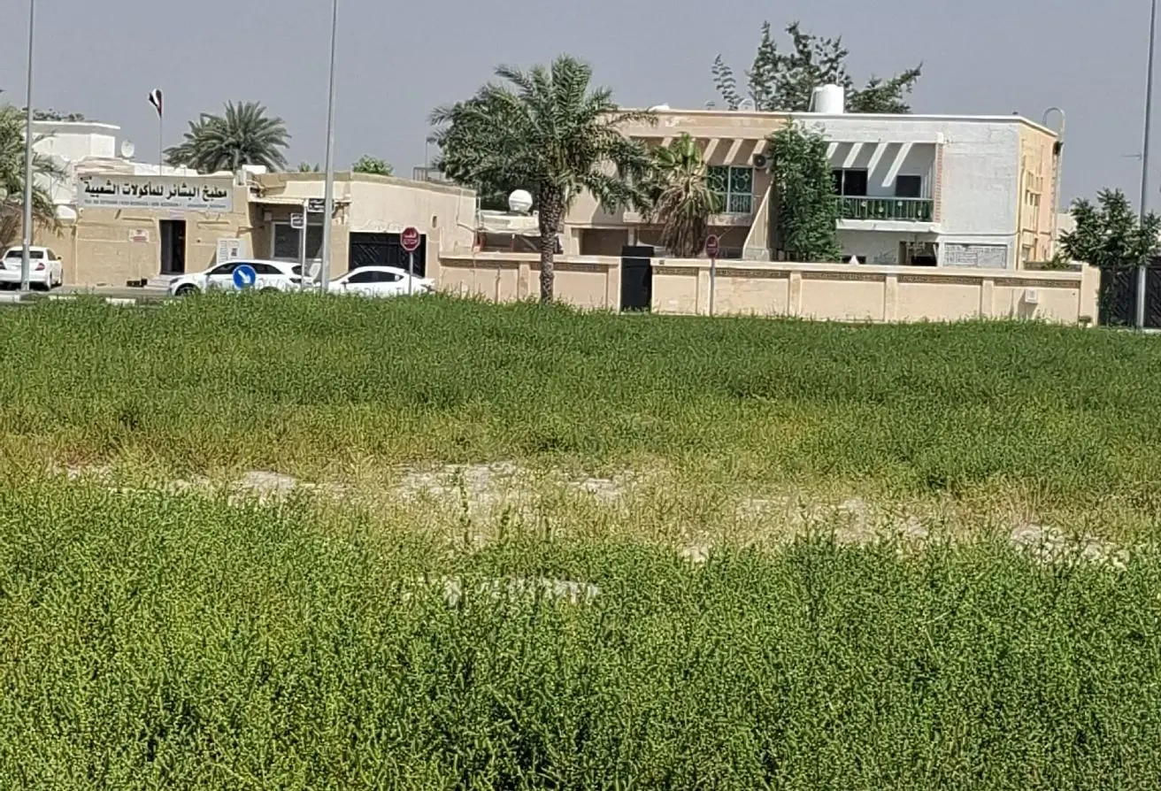 118152829 - Property Main Image