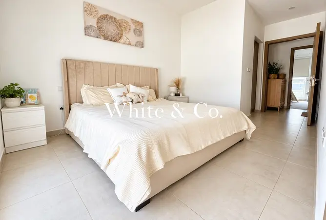156907666 - Property Image 3