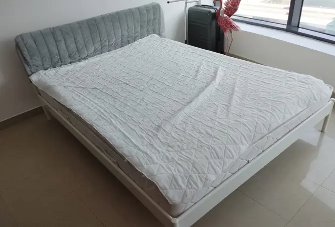 163246859 - Property Image 3