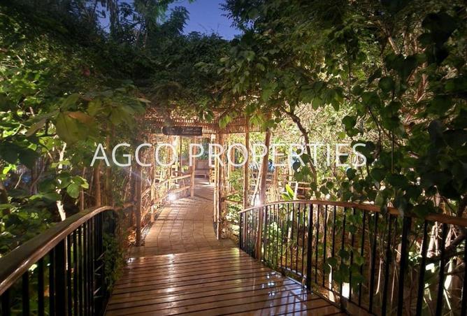 61662030 - Property Image 2