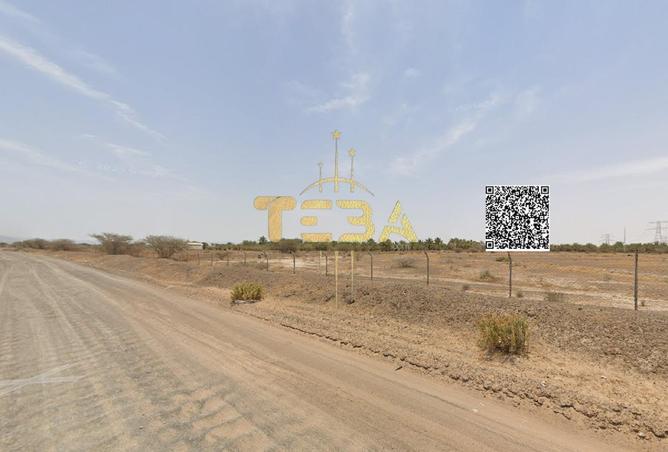 16053036 - صورة العقار 3