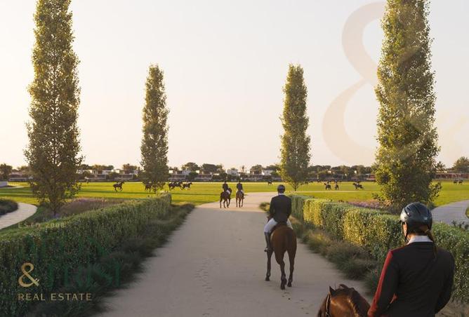 55346690 - Property Image 2