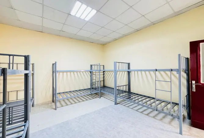 159596555 - Property Image 3