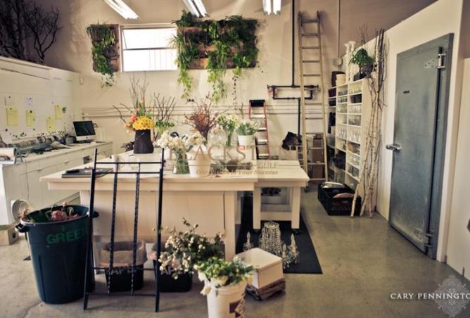 60545028 - Property Image 2