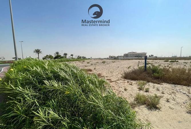 64406647 - Property Image 3