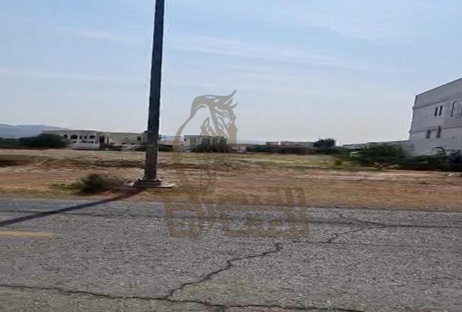 16166106 - Property Image 2