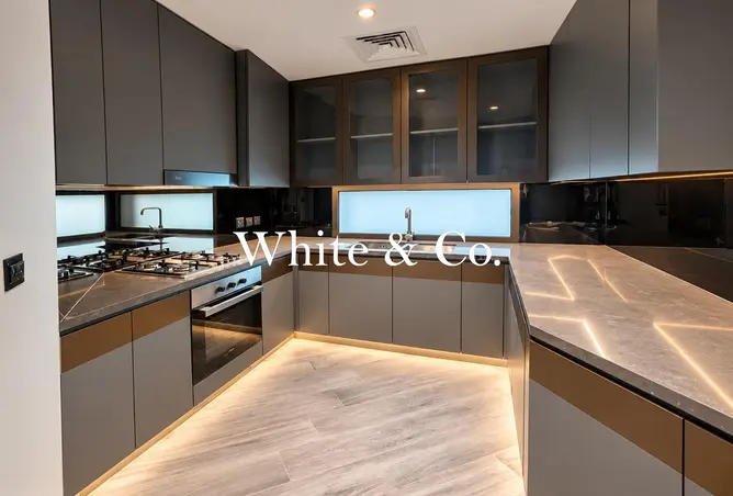 146423172 - Property Image 3