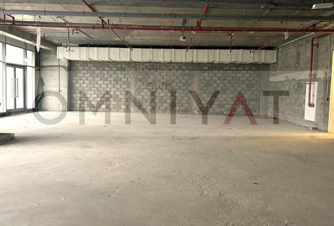 16312383 - Property Image 3