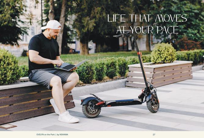 16230921 - Property Image 2