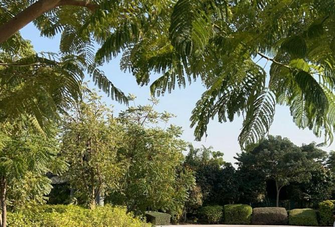 70288673 - Property Main Image