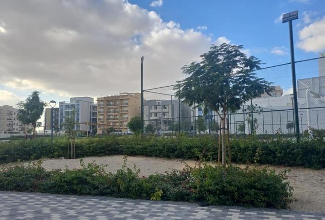 16189728 - صورة العقار 2