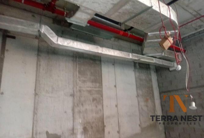 58953963 - Property Image 3