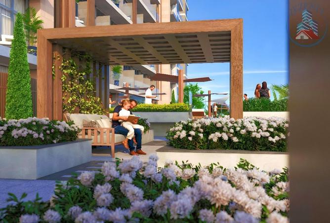 55741434 - Property Image 3