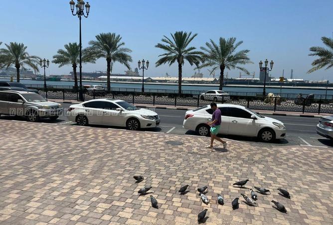 93152579 - صورة العقار 3