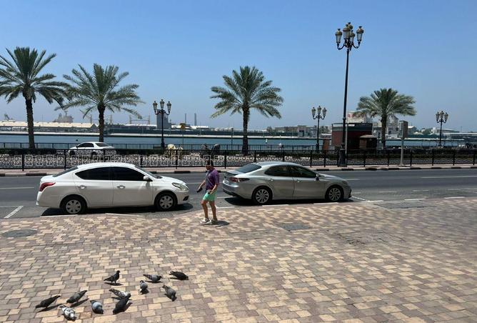 93152579 - صورة العقار 2