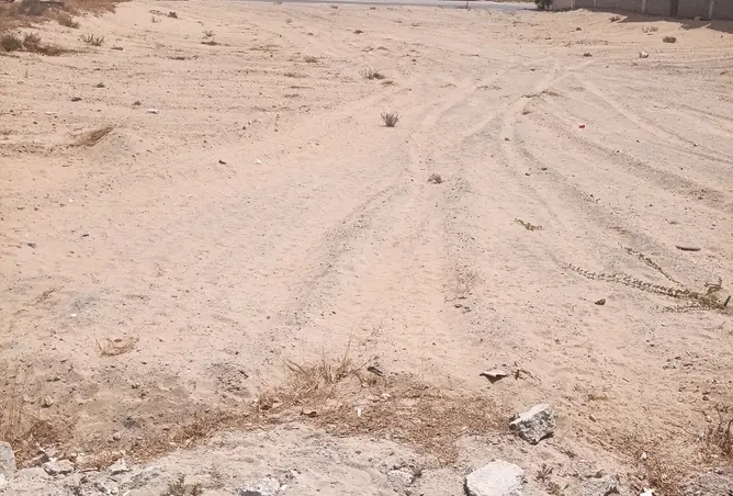 161419315 - صورة العقار 2