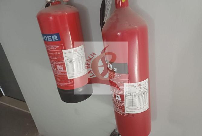 119045557 - Property Image 3