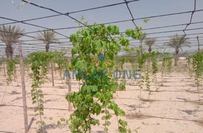 Farm - Studio for sale in Al Samha - Abu Dhabi