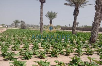 Farm - Studio for sale in Al Samha - Abu Dhabi
