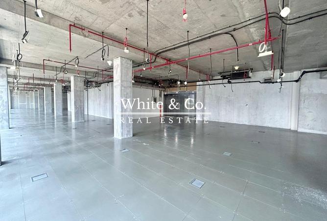 113699527 - Property Image 2