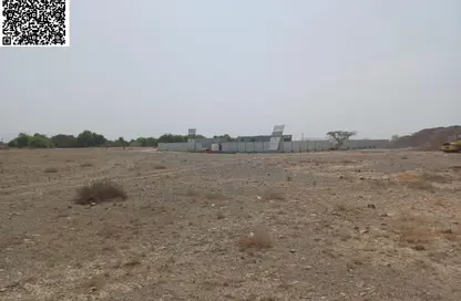 أرض - استوديو للبيع في المنامة - عجمان