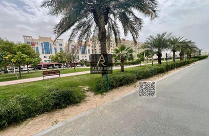 شقة - 1 حمام للبيع في قرية الاميرة - الياسمين - عجمان شقة - 1 حمام للبيع في قرية الاميرة - الياسمين - عجمان