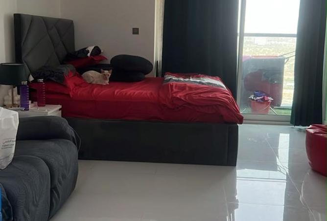 117251389 - Property Image 3