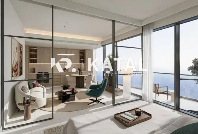 80676821 - صورة العقار 3