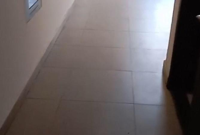 55339362 - Property Image 3