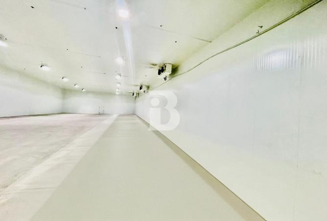 116799853 - Property Image 2
