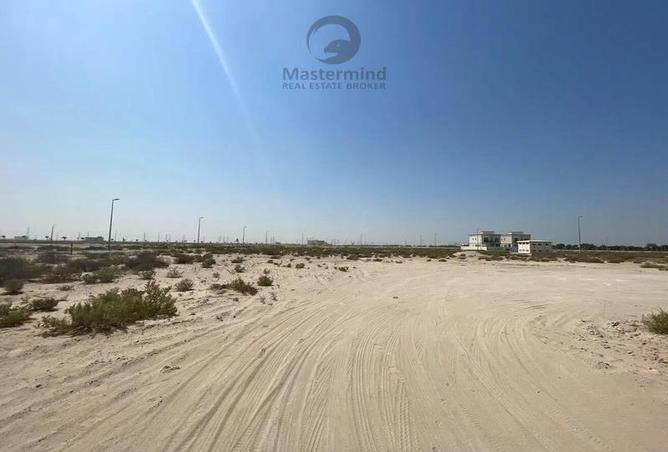 54397397 - Property Image 3