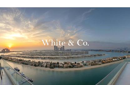 Apartment - 3 Bedrooms - 4 Bathrooms for rent in Diamond - Tiara Residences - Palm Jumeirah - Dubai Apartment - 3 Bedrooms - 4 Bathrooms for rent in Diamond - Tiara Residences - Palm Jumeirah - Dubai