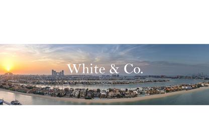 Apartment - 3 Bedrooms - 4 Bathrooms for rent in Diamond - Tiara Residences - Palm Jumeirah - Dubai