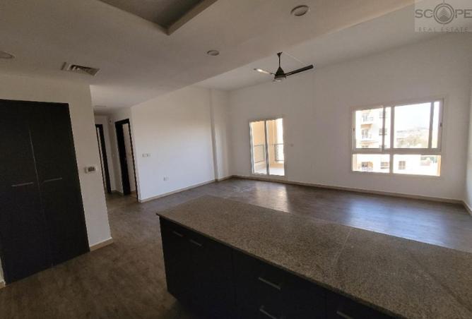 16036847 - Property Image 2