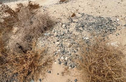 Land - Studio for sale in Al Belidah - Al Bataeh - Sharjah