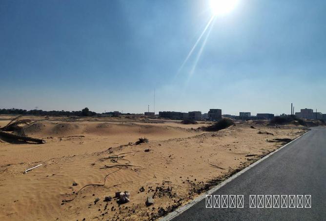 77392533 - صورة العقار 3