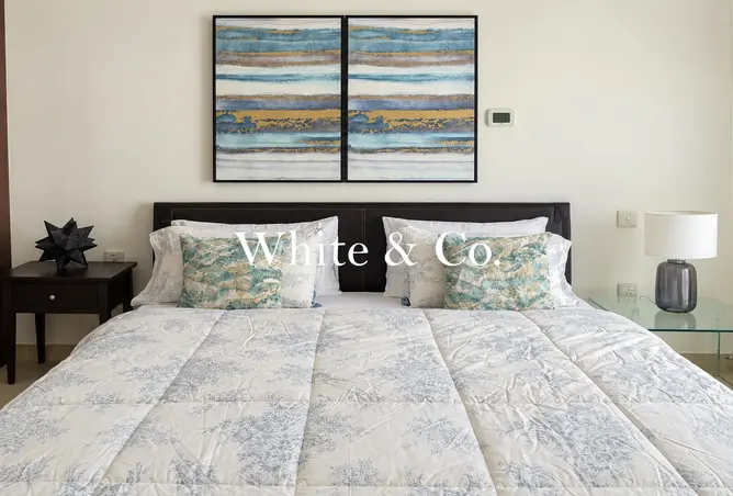 163232527 - Property Image 3