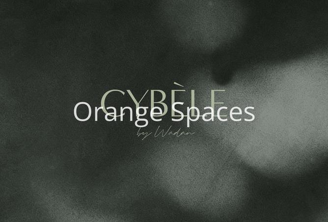 15955183 - صورة العقار 2